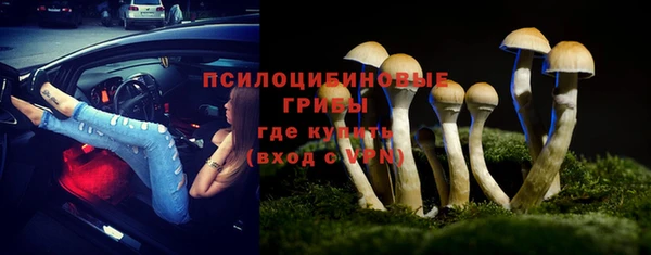 дживик Аркадак