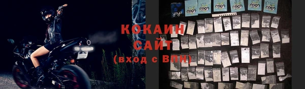 дживик Аркадак