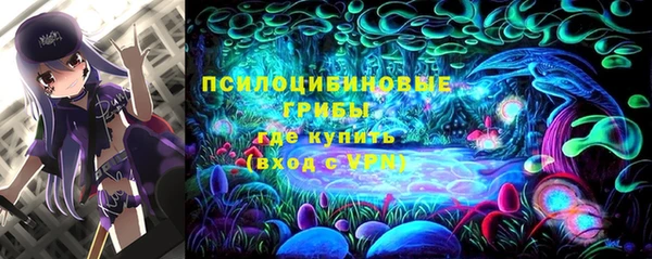 дживик Аркадак