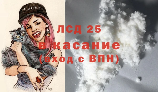 эйфоретик Арсеньев