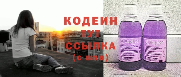 эйфоретик Арсеньев