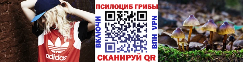 Псилоцибиновые грибы Cubensis  Радужный 